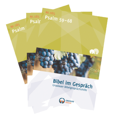 Bibel im Gespräch - Probeheft